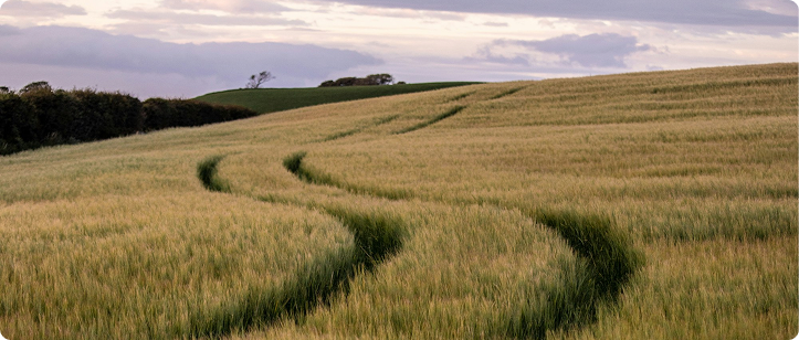 15 Questions to discover your life purpose