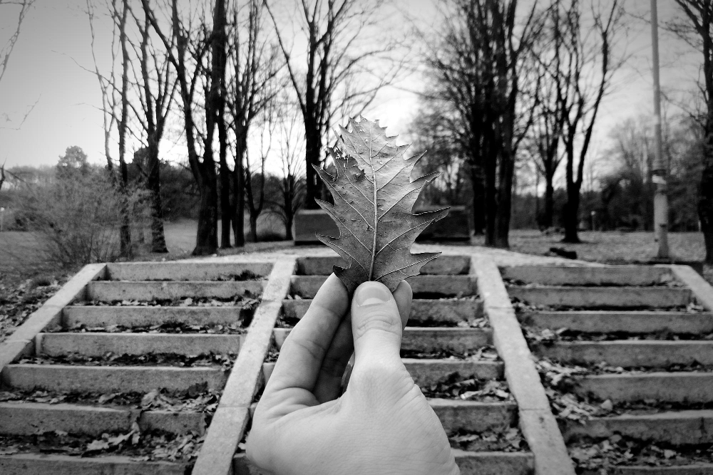 How to find Purpose in Life