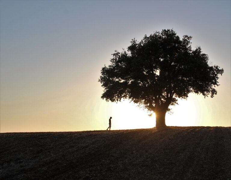 What Makes Life Meaningful
