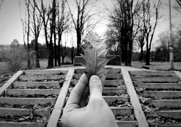 How to find Purpose in Life